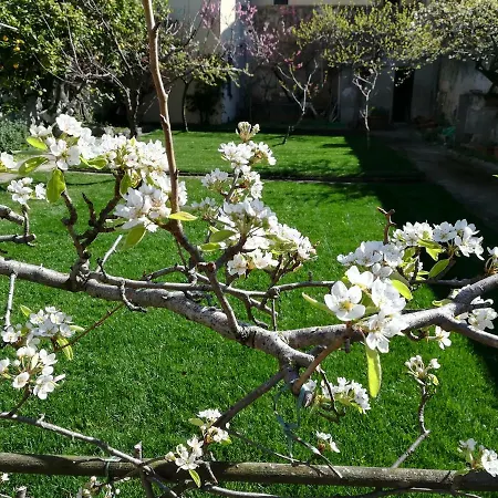 Giardino Antico Διαμέρισμα Πίζα