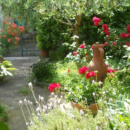 Giardino Antico פיזה