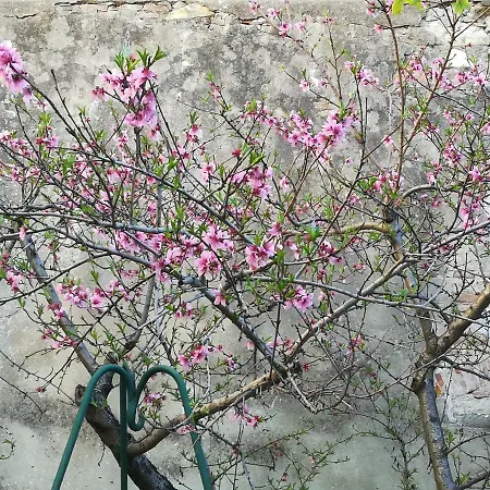 Giardino Antico Апартаменты Пиза