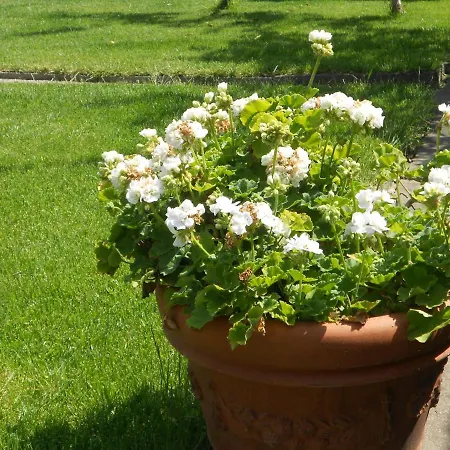 Giardino Antico Appartamento *